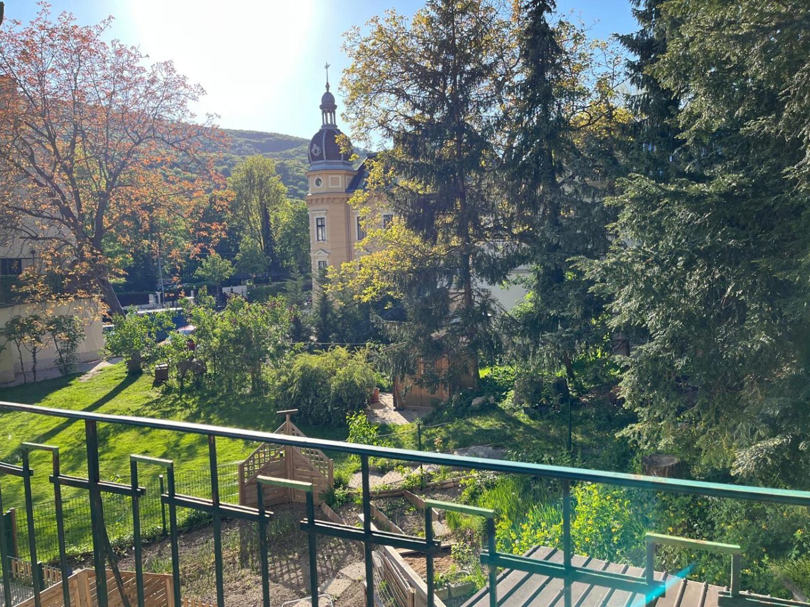 Schoene Wohnung Im Helenental Baden Extérieur photo